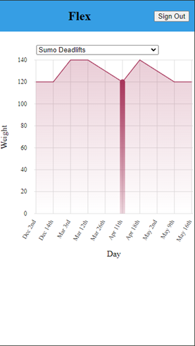 Screenshot of the Flex Workouts project